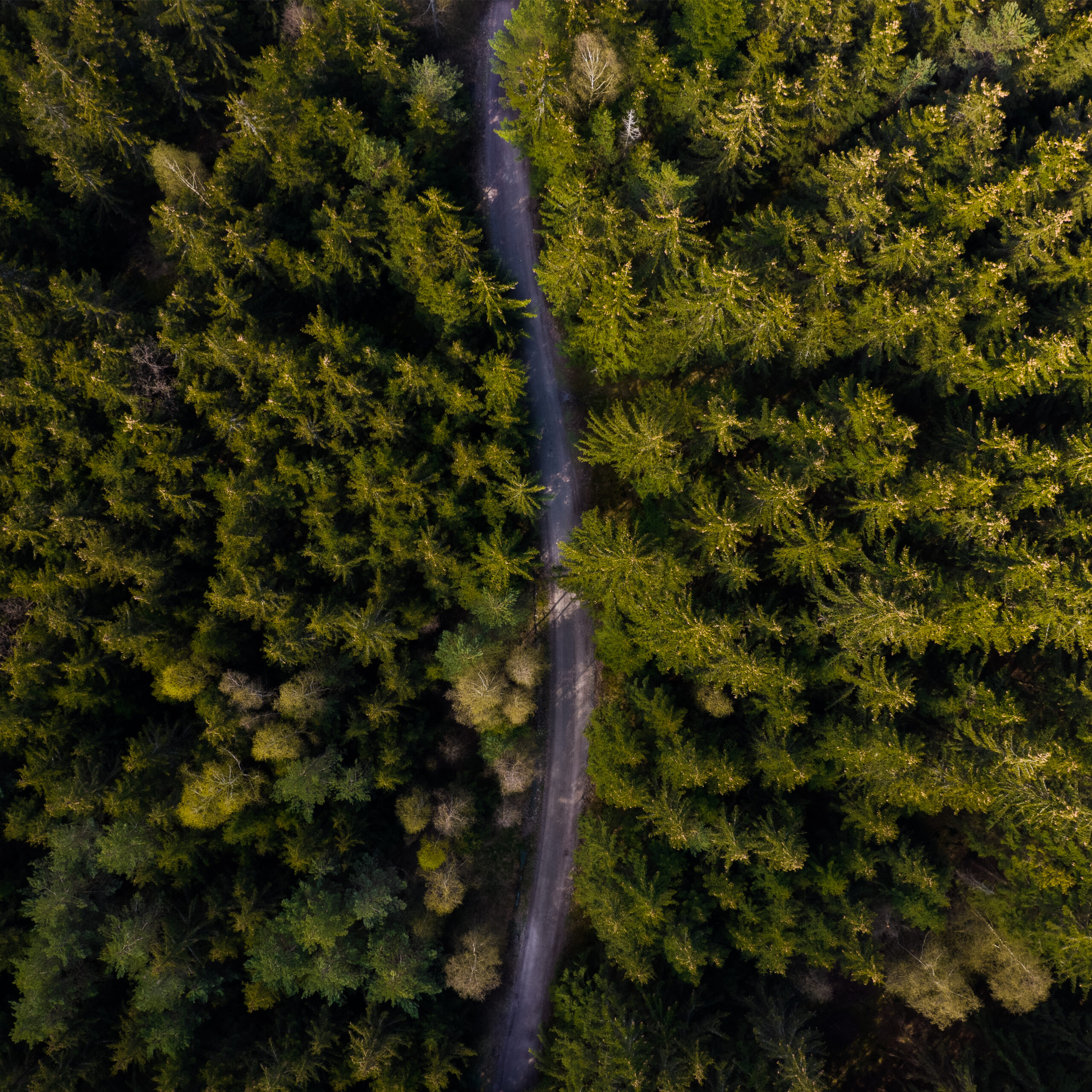 high-angle-view-waterfall-forest